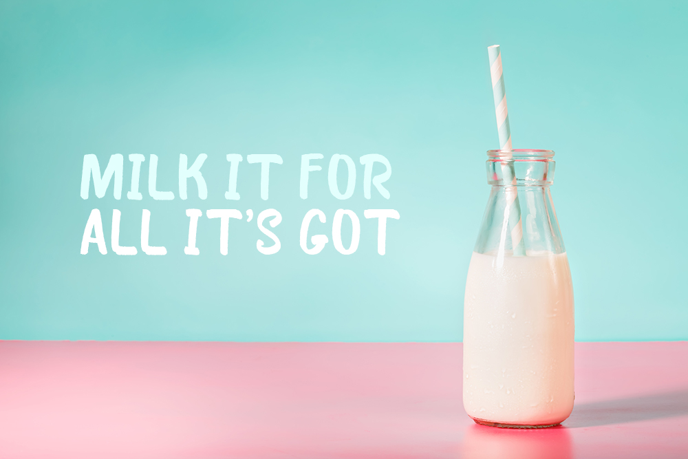 If one of your teeth is knocked out, get the milk! - Robert Mitchell