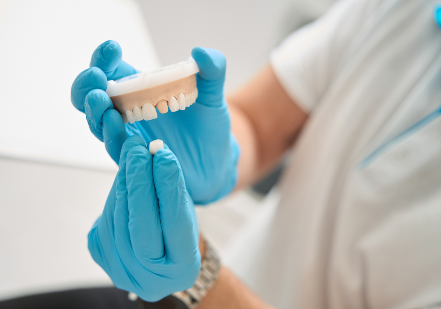 Dentist holding model dental crown